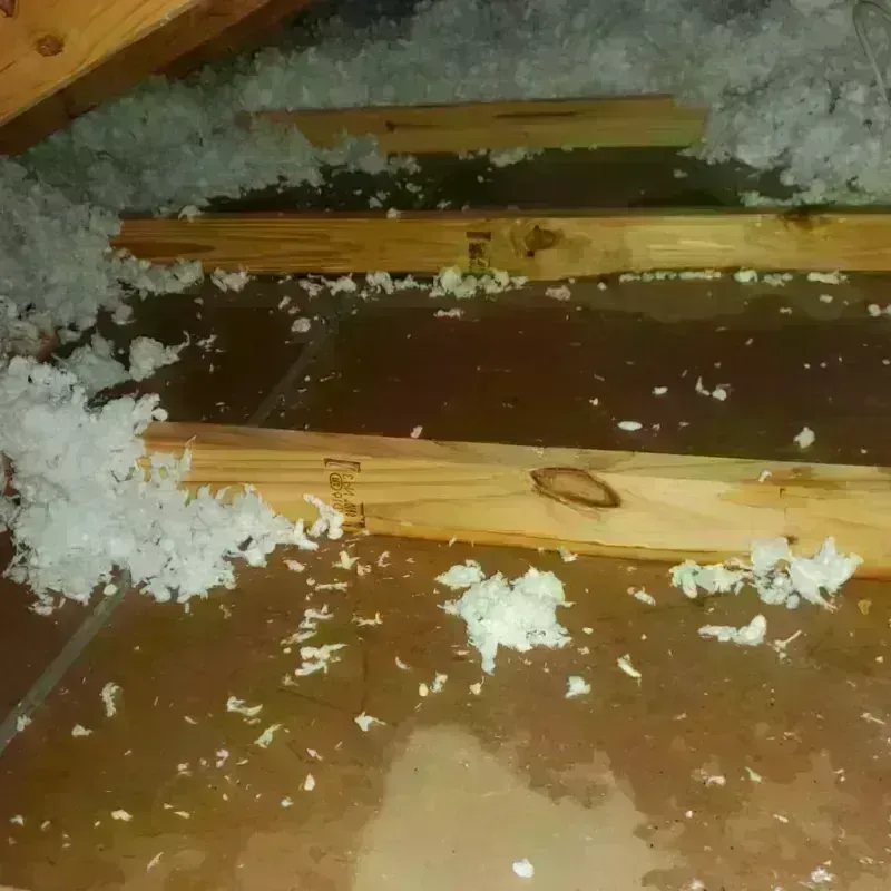 Attic Water Damage in Morada, CA